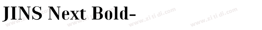 JINS Next Bold字体转换